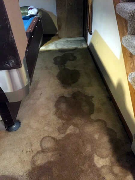 Bad Smell In Basement Could Be Sign Of Damage In Home Abt