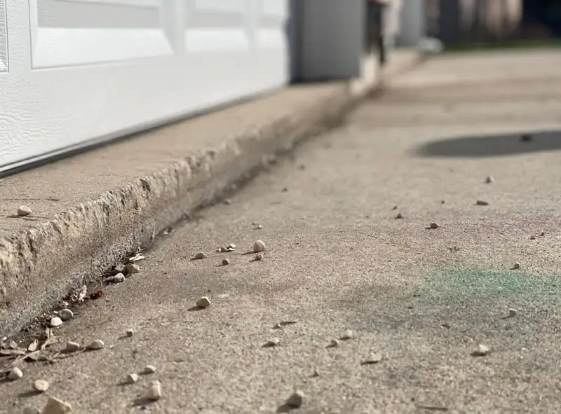 Concrete Leveling